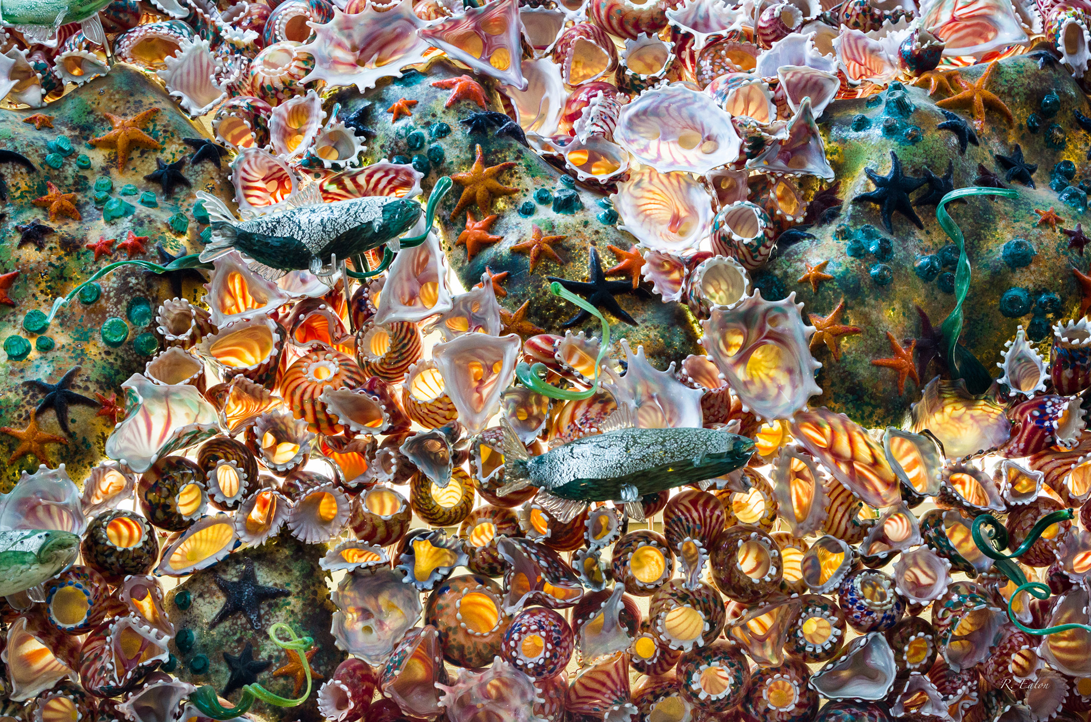 Galleries Andy Nichols