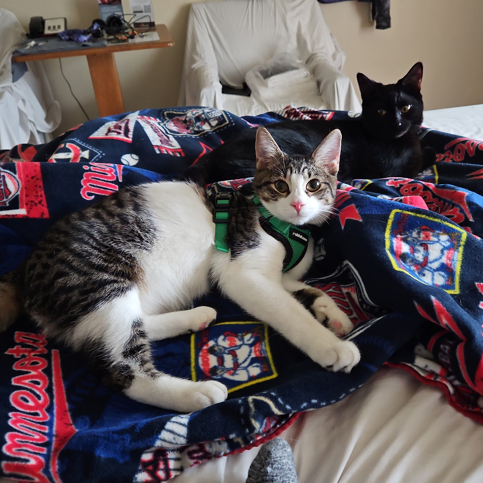 Bubba and Chase