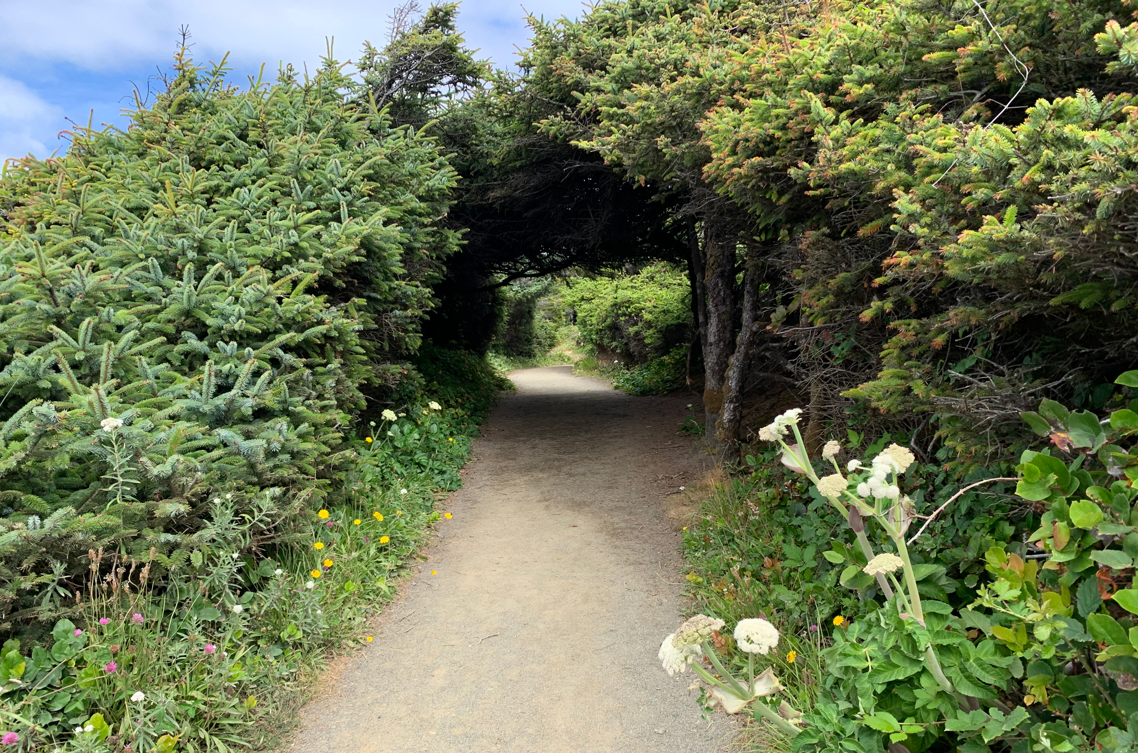 Nature Lovers Escape
