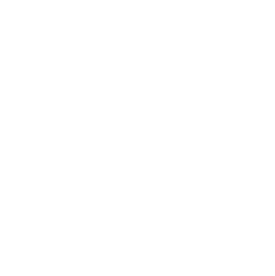 FAQ Icon