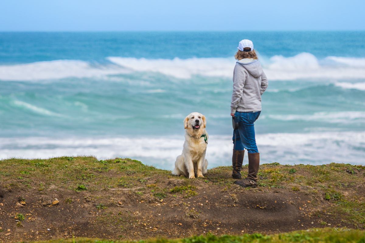 Dog Friendly Coast
