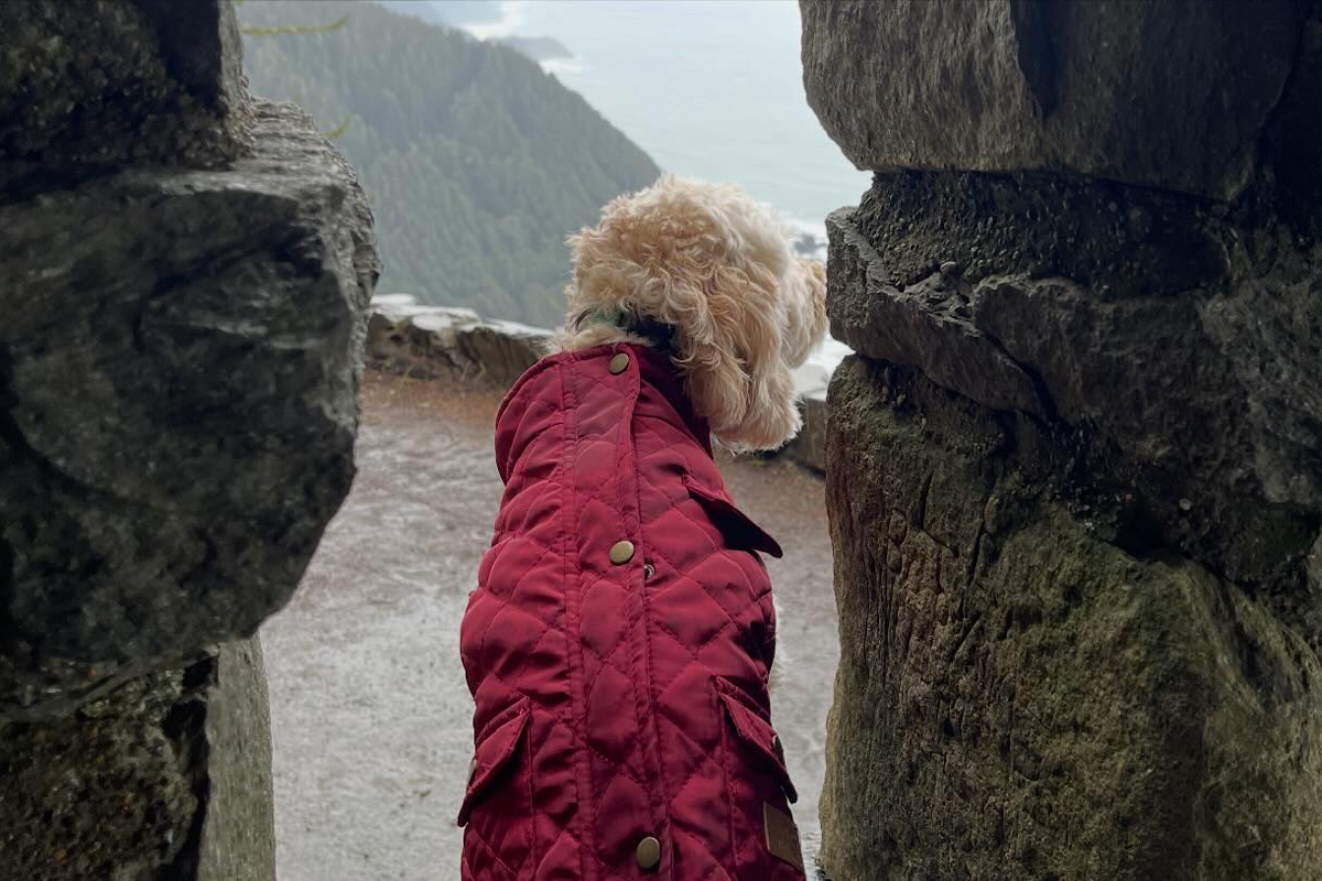 Cape Perpetua