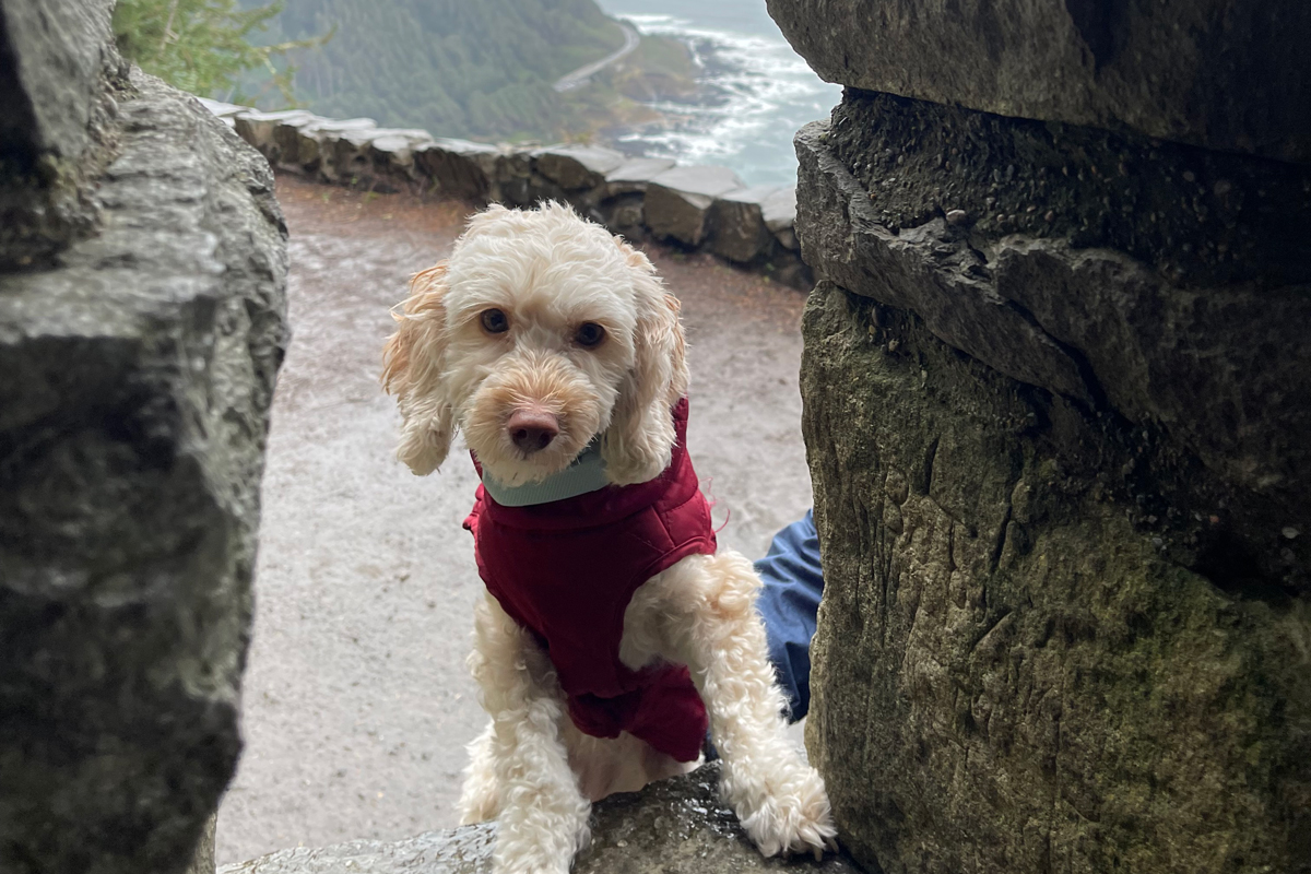 Cape Perpetua